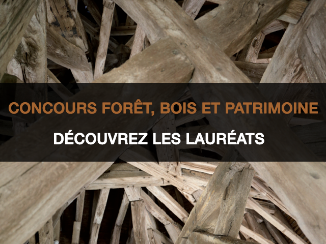 Découvrez les lauréats du concours Forêt, bois et patrimoine 2020
