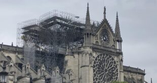 La filière bois au chevet de Notre-Dame de Paris